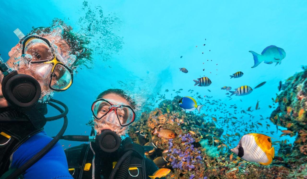Danat Jebel Dhanna Resort Buitenkant foto Scuba diving